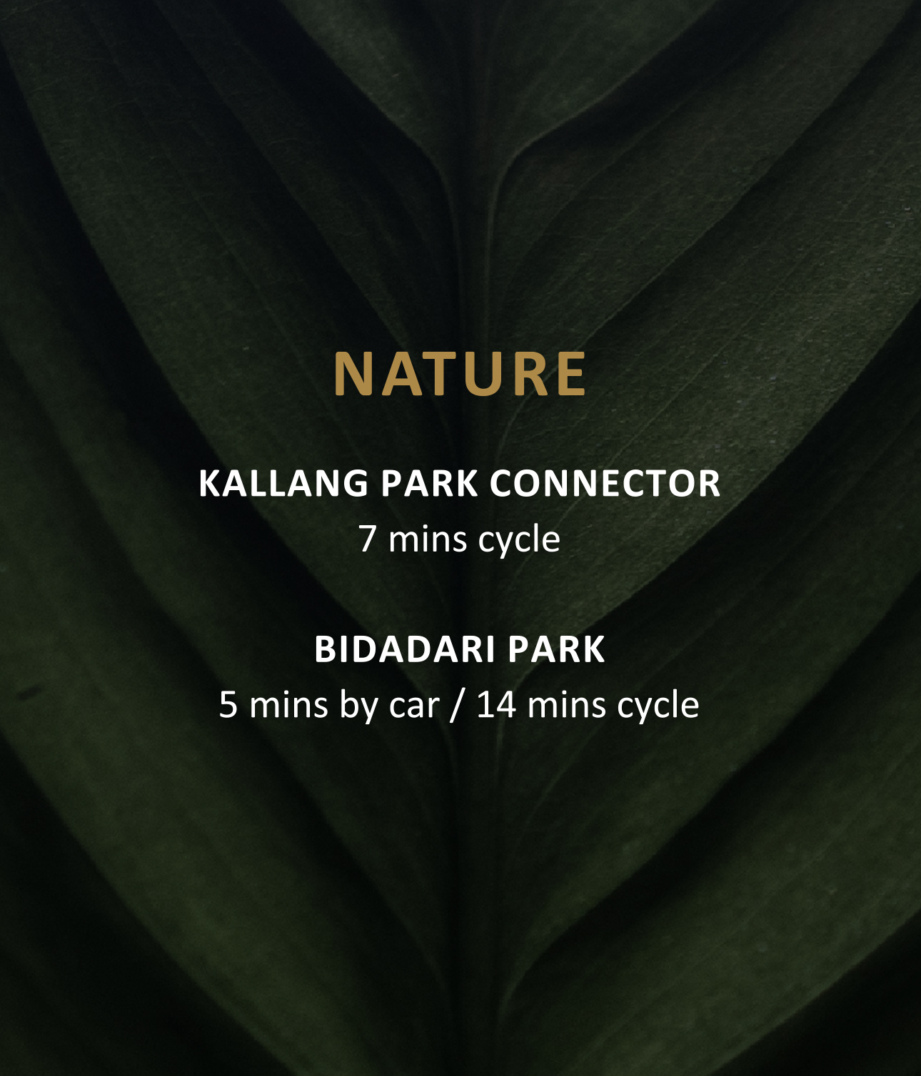 Nature